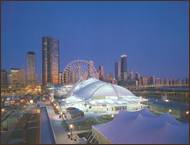 Image: Chicago Navy Pier