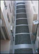 Image: Hiflex Adhesive